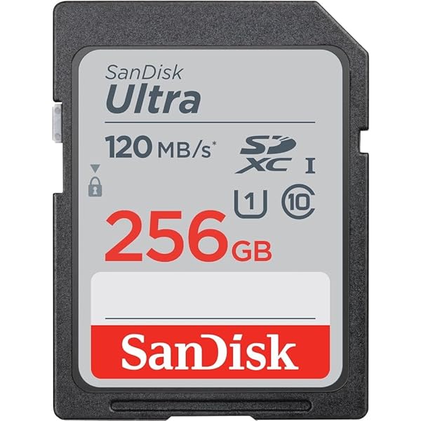 Amazon.com: SanDisk SD Ultra 256GB Memory Card for Camera